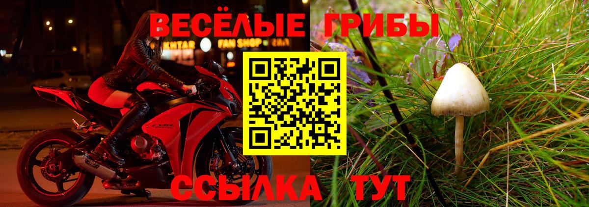 Псилоцибиновые грибы мицелий Анапа
