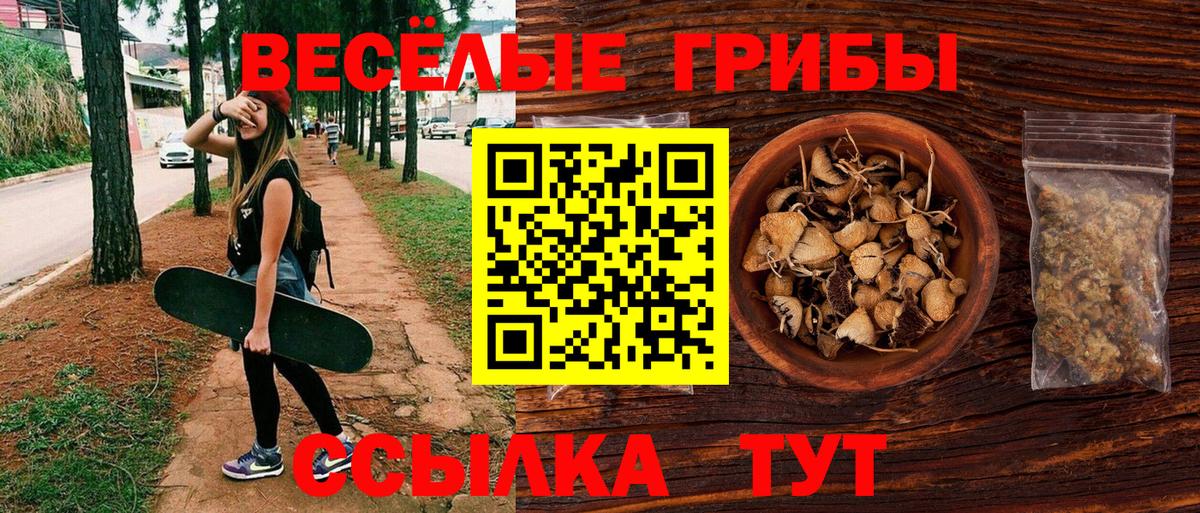 Галлюциногенные грибы GOLDEN TEACHER  Вход с VPN  Анапа 